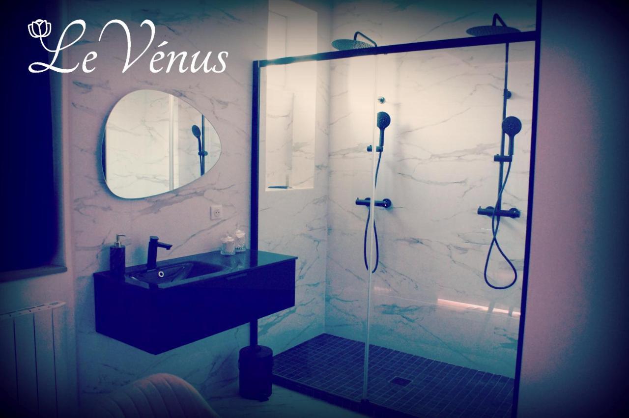 Le Venus - Appartement Spa Privatif Balneo Sauna Dijon Eksteriør bilde